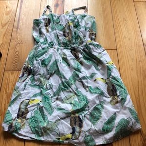 GAP Toucan Sundress Tropical